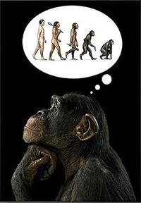 Monkey See Monkey Do Monkey See Monkey Do